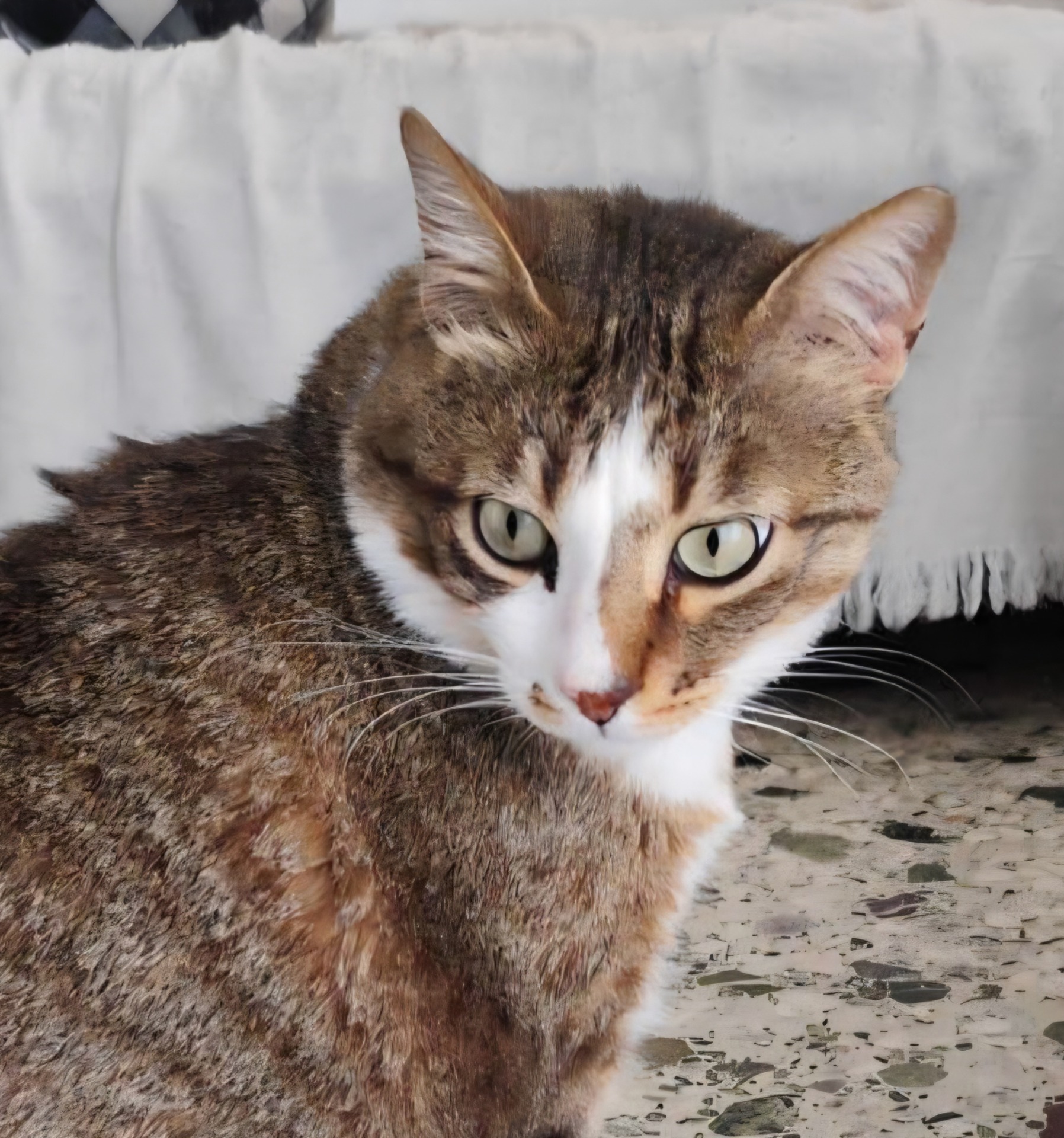 Droulis (reserviert)