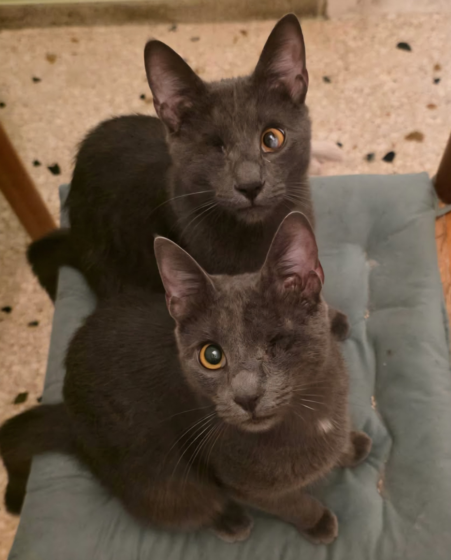 Socrates & Ioulitsa